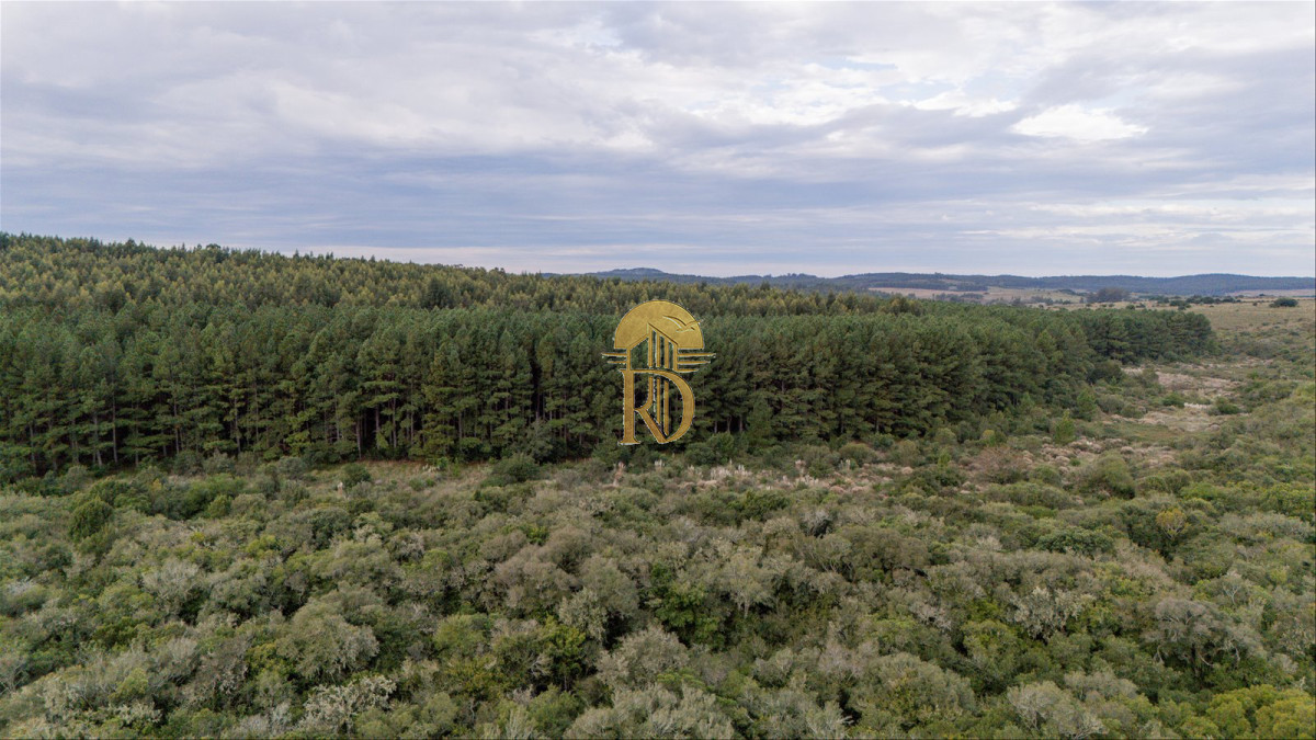 OPORTUNIDAD: Chacra 20 ha venta en las sierras de Garzón -id-443-7