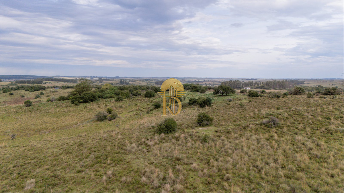 OPORTUNIDAD: Chacra 20 ha venta en las sierras de Garzón -id-443-8