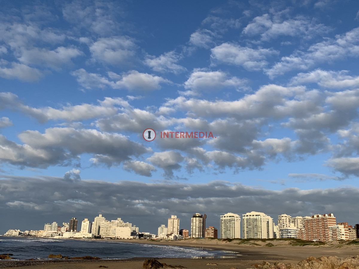 Apartamento ID.114 - VENTA APARTAMENTO EN PUNTA DEL ESTE 