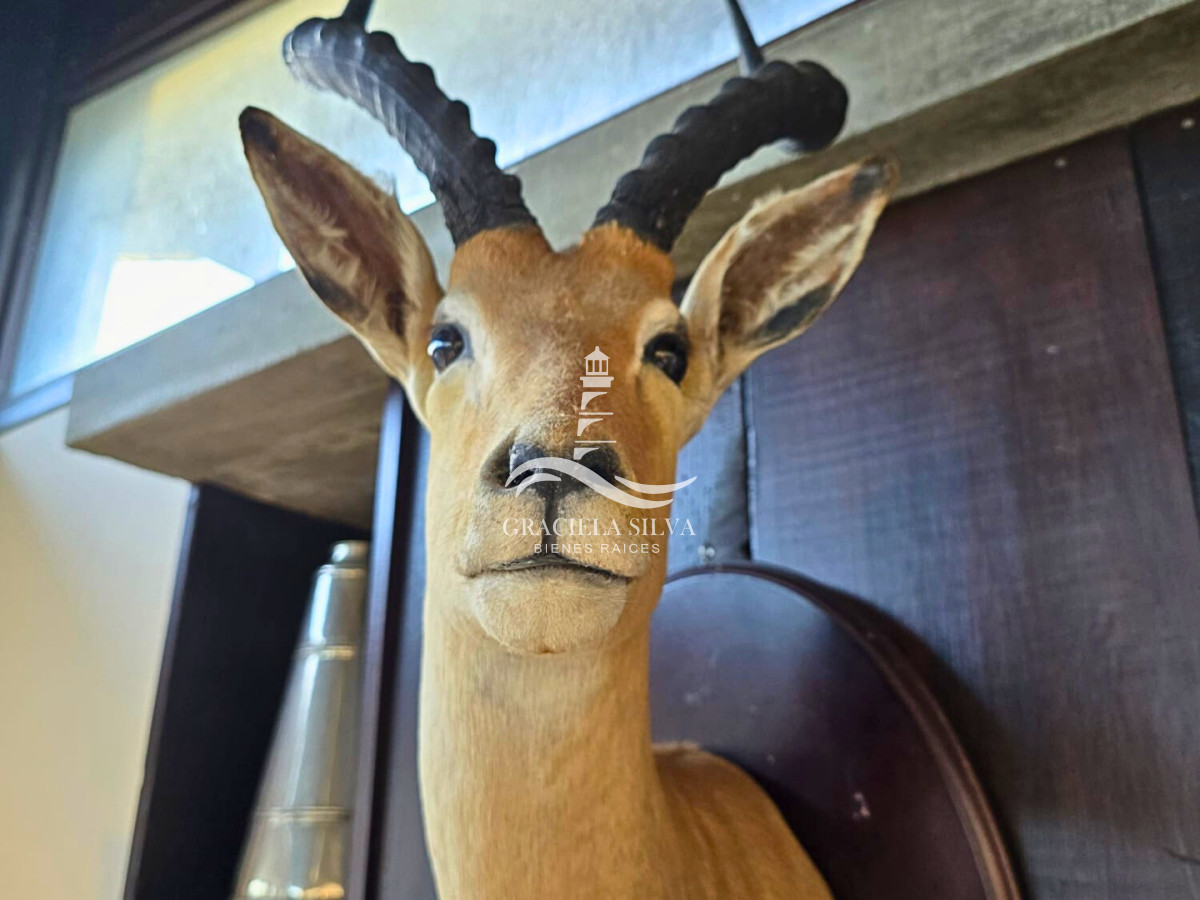 Casa ID.436/Casa-en-José-Ignacio - Casa en José Ignacio