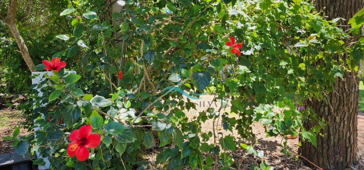 Casa ID.410 - Funcional y luminosa casa en La Juanita