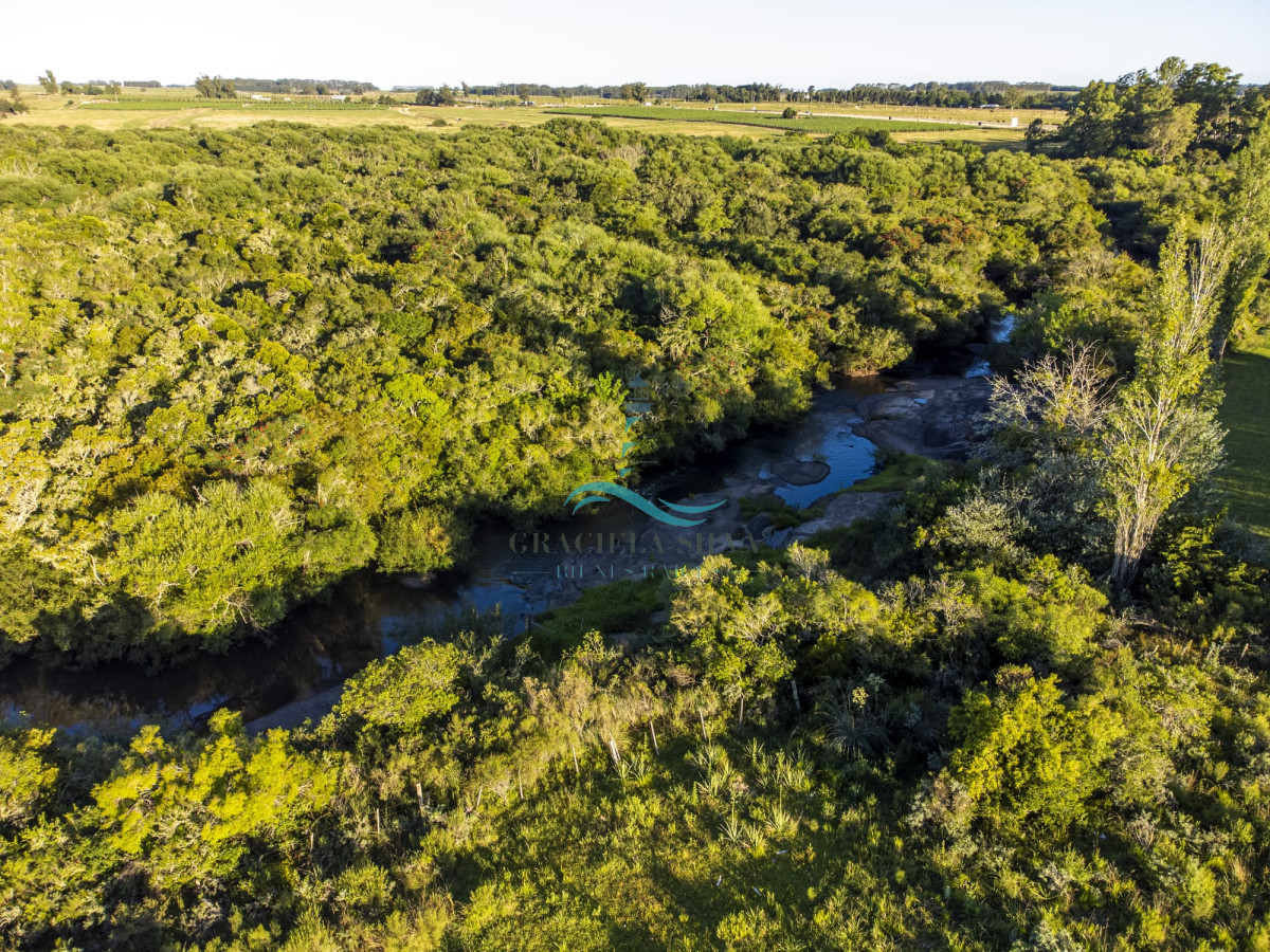 Chacra ID.429 - Chacras VILARO a pocos minutos de José Ignacio