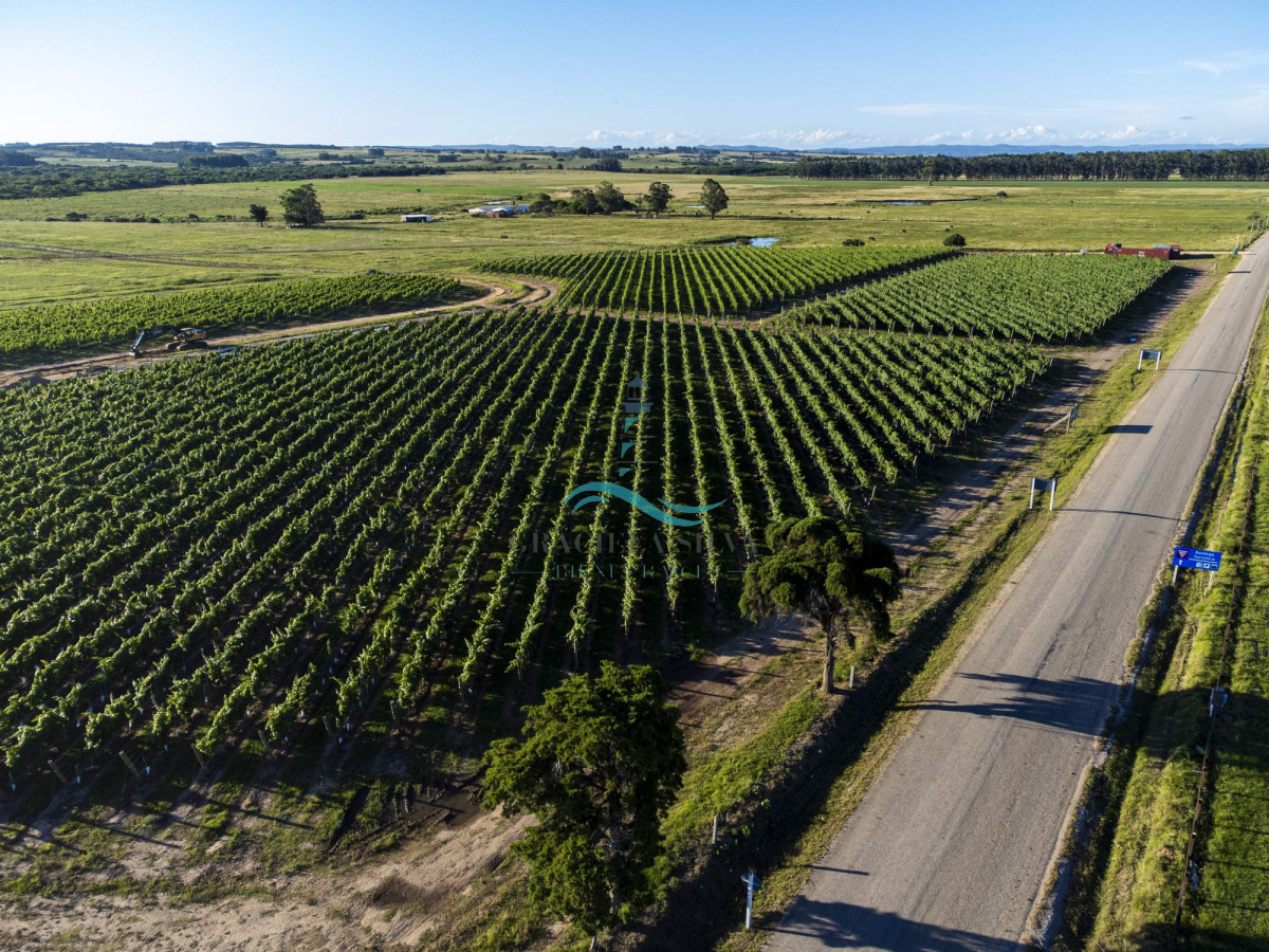 Chacra ID.429 - Chacras VILARO a pocos minutos de José Ignacio