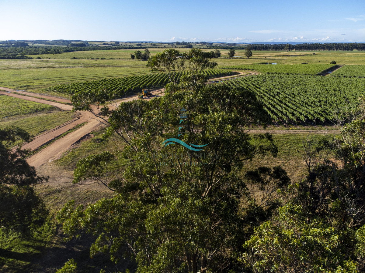 Chacra ID.429 - Chacras VILARO a pocos minutos de José Ignacio