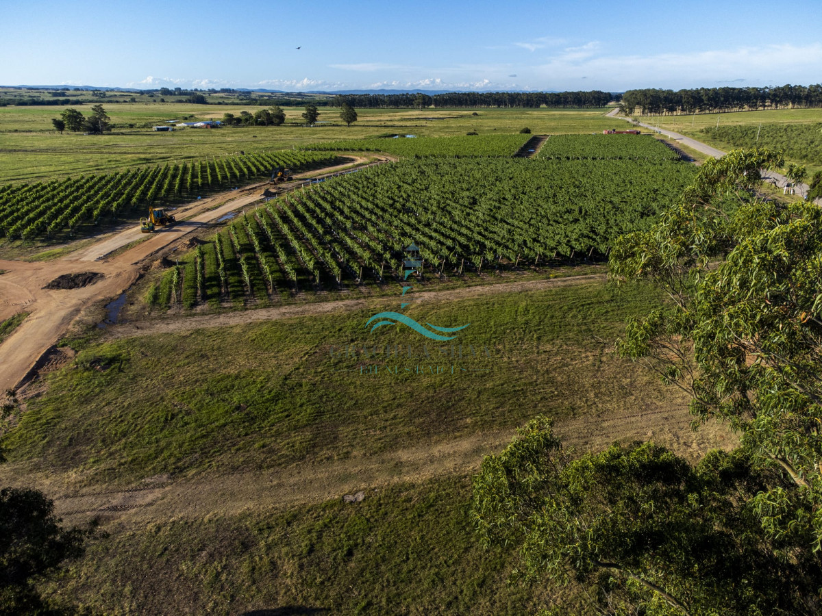 Chacra ID.429 - Chacras VILARO a pocos minutos de José Ignacio