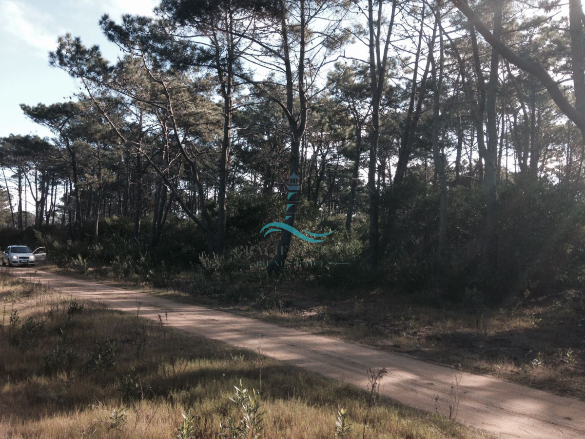 Terreno ID.441 - 2 Lotes contiguos (esquinera-doble frente) en Costa Bonita próximo a José Ignacio
