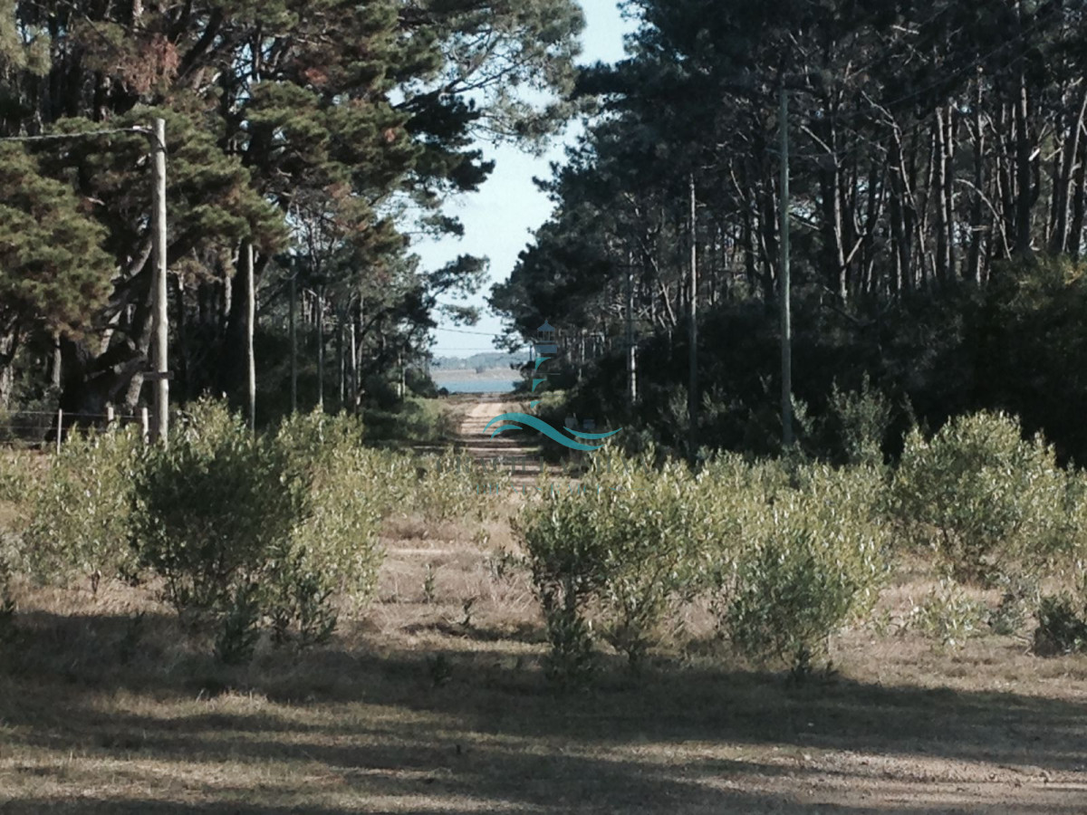 Terreno ID.441 - 2 Lotes contiguos (esquinera-doble frente) en Costa Bonita próximo a José Ignacio