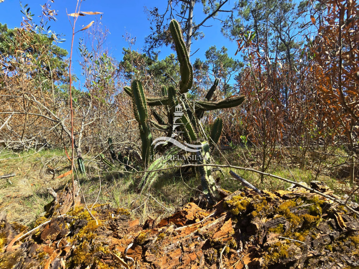 Terreno ID.441 - 2 Lotes unificados (esquinera-doble frente) en Costa Bonita próximo a José Ignacio