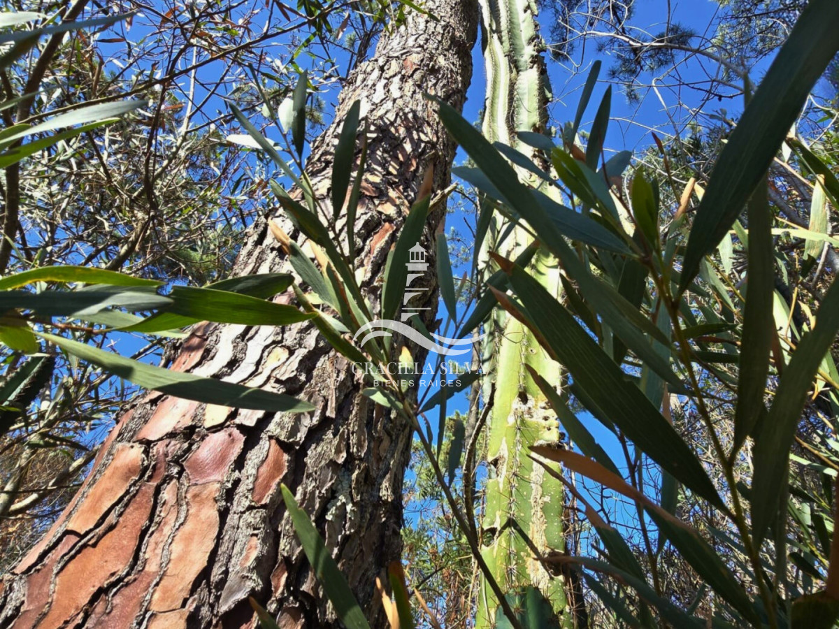 Terreno ID.441 - 2 Lotes unificados (esquinera-doble frente) en Costa Bonita próximo a José Ignacio