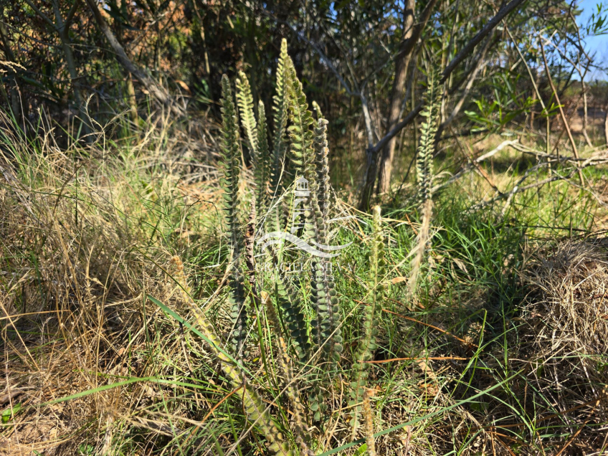 Terreno ID.441 - 2 Lotes unificados (esquinera-doble frente) en Costa Bonita próximo a José Ignacio