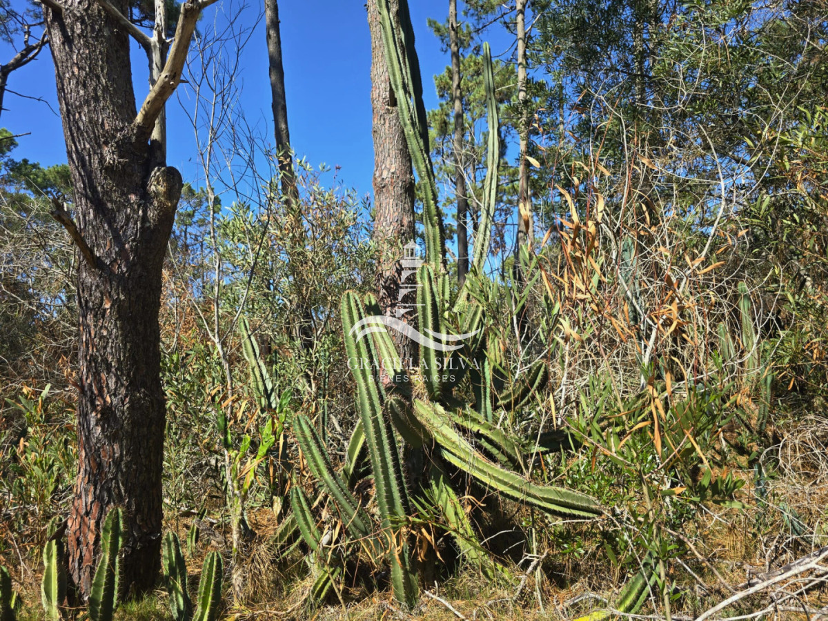 Terreno ID.441 - 2 Lotes unificados (esquinera-doble frente) en Costa Bonita próximo a José Ignacio