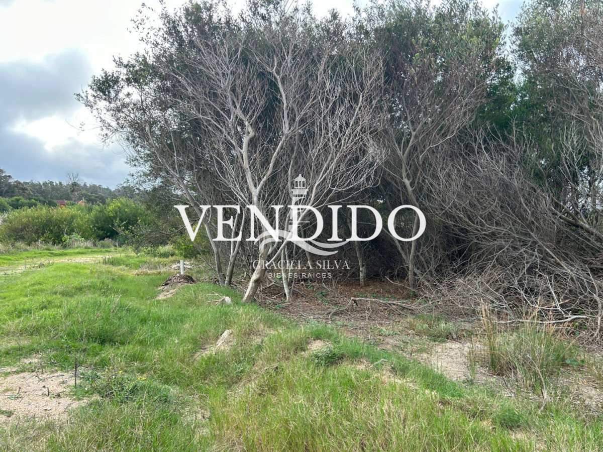 Lote en Santa Mónica -zona de gran crecimiento