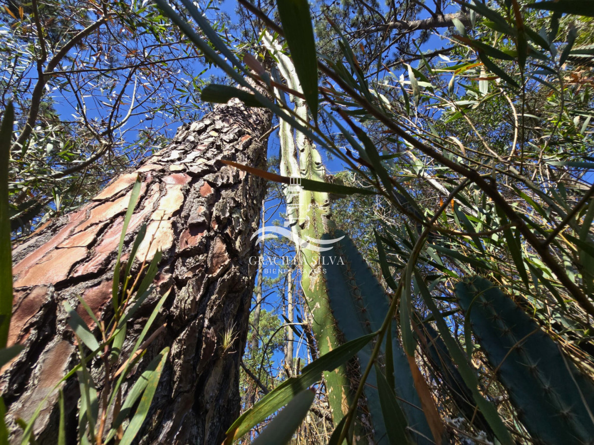 Terreno ID.441 - 2 Lotes unificados (esquinera-doble frente) en Costa Bonita próximo a José Ignacio