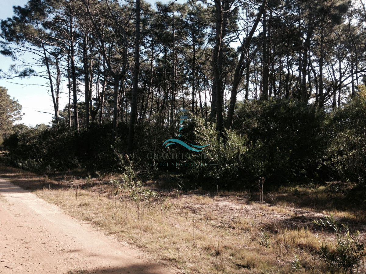 Terreno ID.441 - 2 Lotes contiguos (esquinera-doble frente) en Costa Bonita próximo a José Ignacio