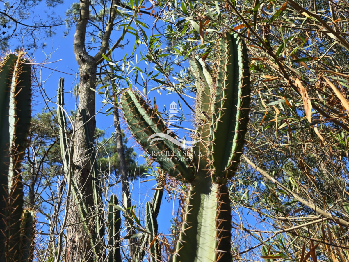 Terreno ID.441 - 2 Lotes unificados (esquinera-doble frente) en Costa Bonita próximo a José Ignacio