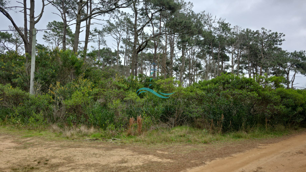 Terreno ID.441 - 2 Lotes contiguos (esquinera-doble frente) en Costa Bonita próximo a José Ignacio