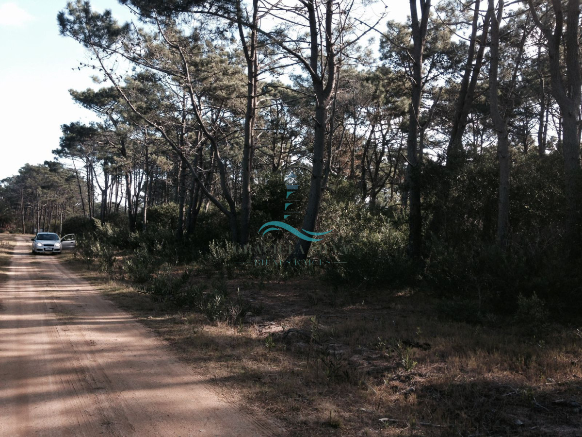 Terreno ID.441 - 2 Lotes contiguos (esquinera-doble frente) en Costa Bonita próximo a José Ignacio