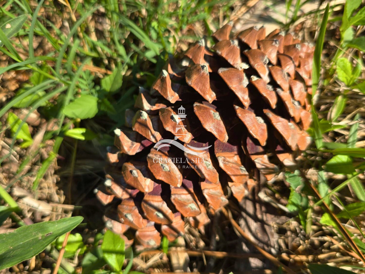 Terreno ID.441 - 2 Lotes unificados (esquinera-doble frente) en Costa Bonita próximo a José Ignacio