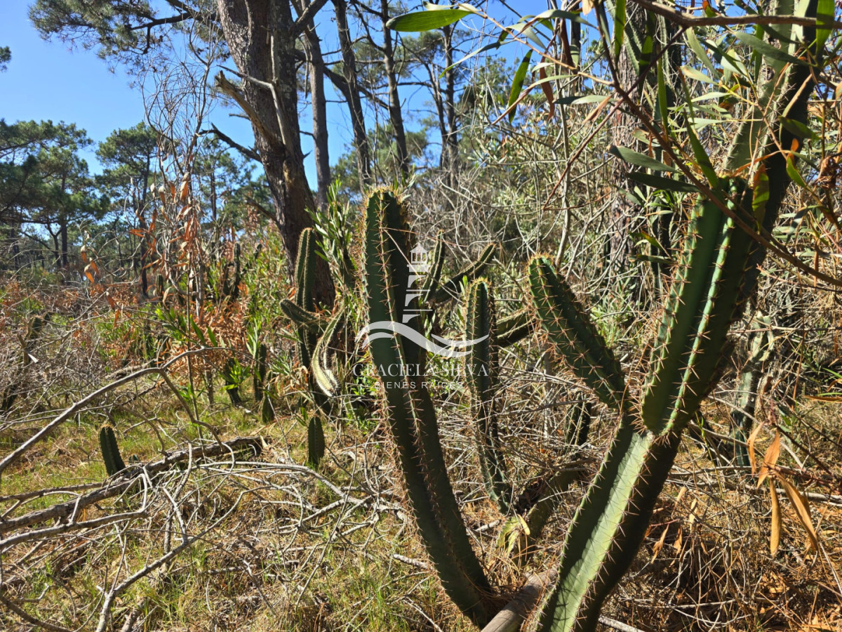 Terreno ID.441 - 2 Lotes unificados (esquinera-doble frente) en Costa Bonita próximo a José Ignacio