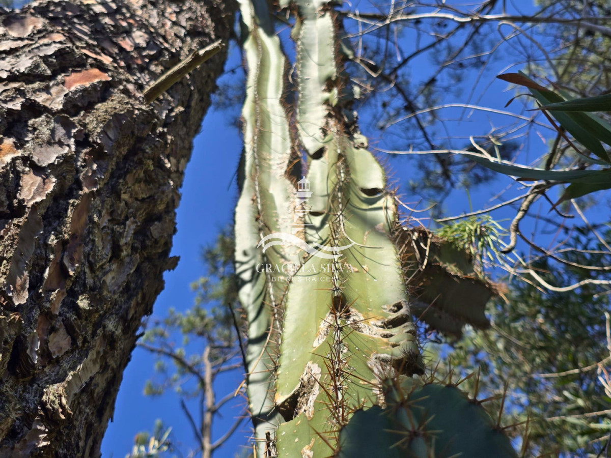 Terreno ID.441 - 2 Lotes unificados (esquinera-doble frente) en Costa Bonita próximo a José Ignacio