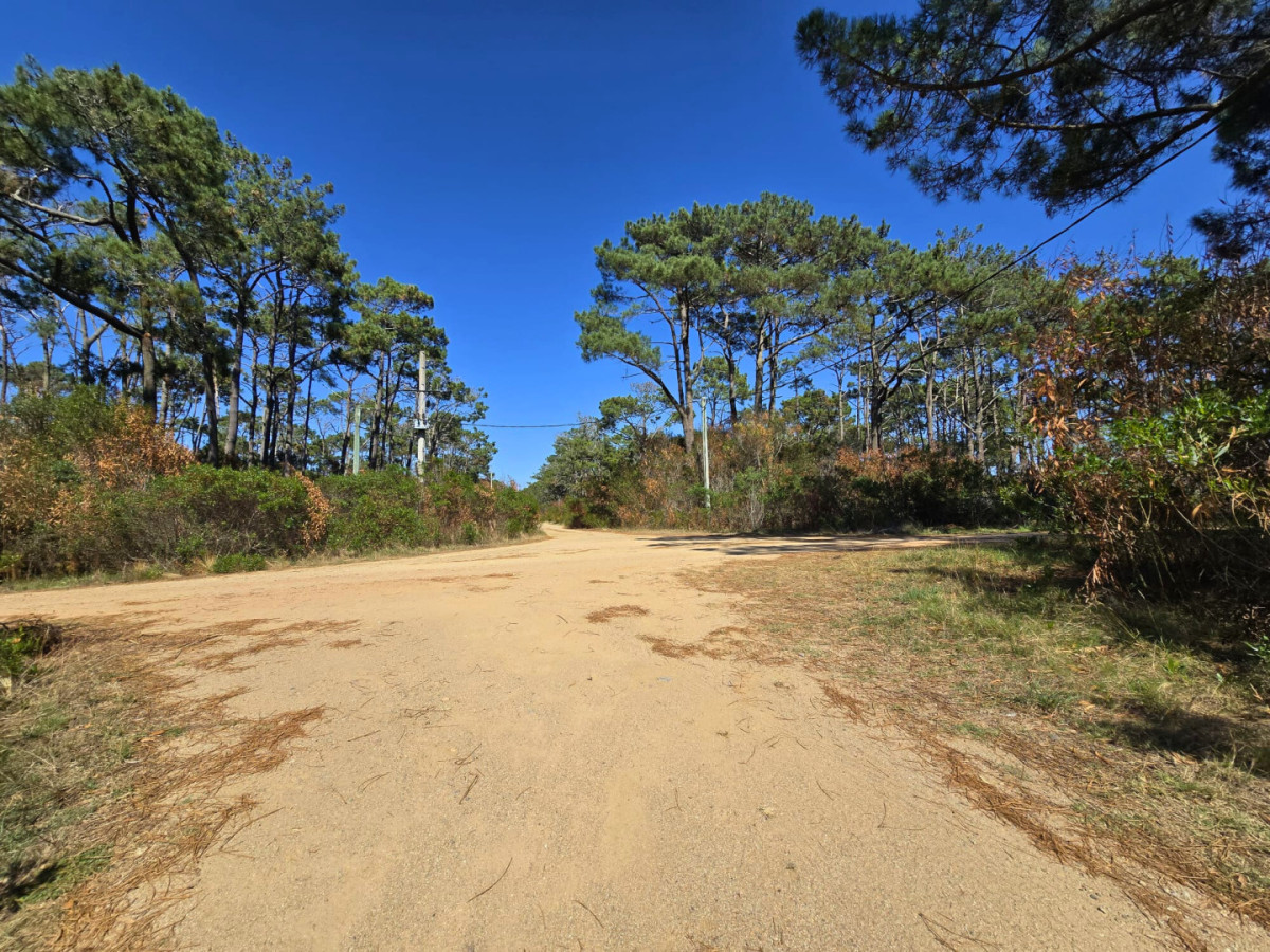 2 Lotes contiguos (esquinera-doble frente) en Costa Bonita próximo a José Ignacio