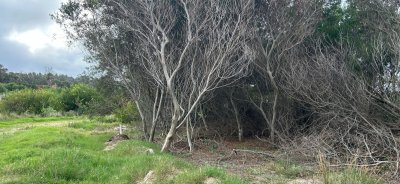 Lote en Santa Mónica -zona de gran crecimiento