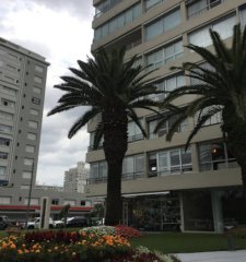 Apartamento en venta en Punta del Este,  Peninsula