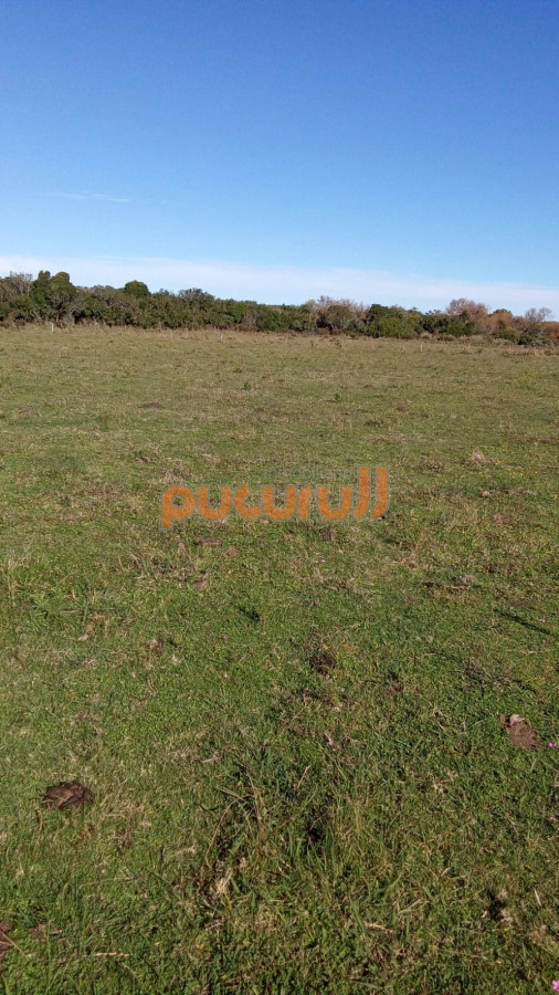 Ruta 39 - GoPunta - Portal Inmobiliario de Punta del Este - Maldonado