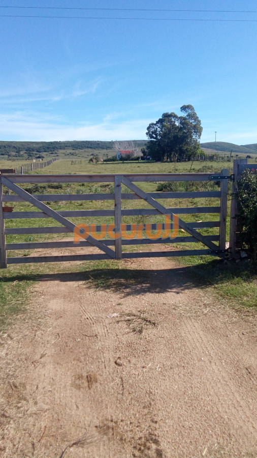 Venta de Chacra 5Ha en Abra Perdomo - GoPunta - Portal Inmobiliario de Punta del Este - Maldonado