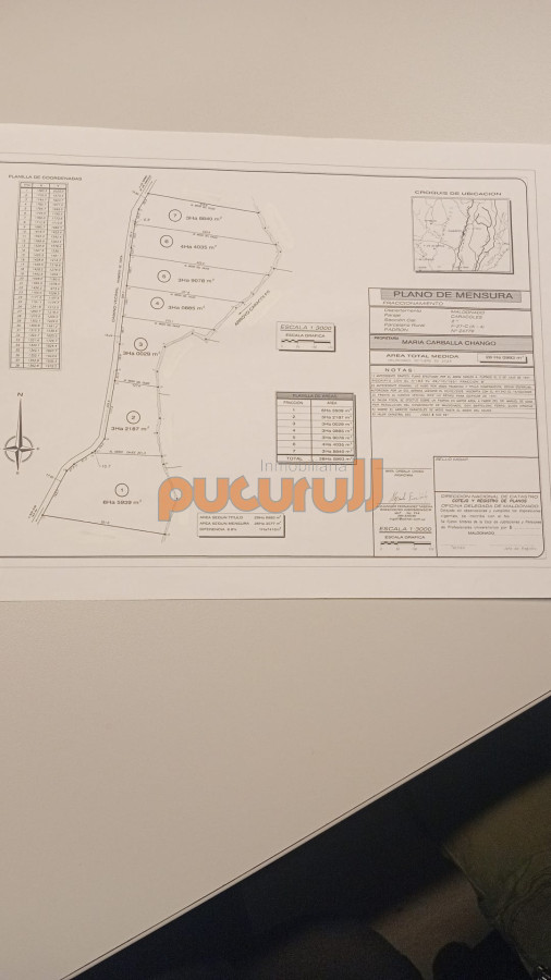 Ruta 39 - GoPunta - Portal Inmobiliario de Punta del Este - Maldonado