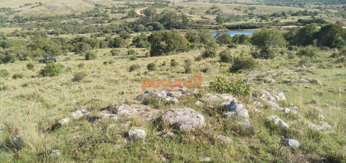 Venta de Chacra en Maldonado de 5 Ha - GoPunta - Portal Inmobiliario de Punta del Este - Maldonado