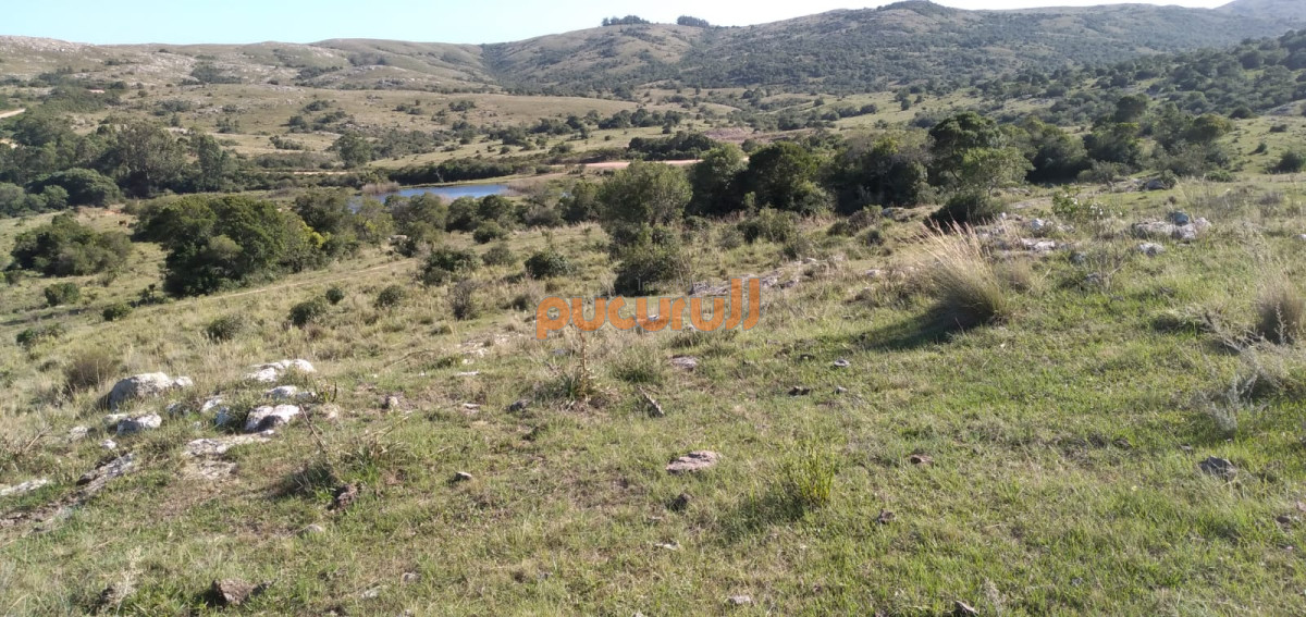 Venta de Chacra en Maldonado de 5 Ha - GoPunta - Portal Inmobiliario de Punta del Este - Maldonado