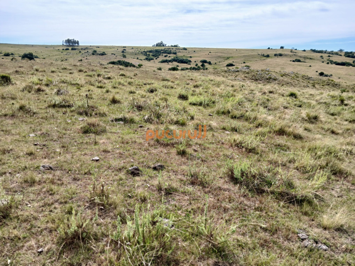 Venta de Chacra en Maldonado de 5 Ha - GoPunta - Portal Inmobiliario de Punta del Este - Maldonado