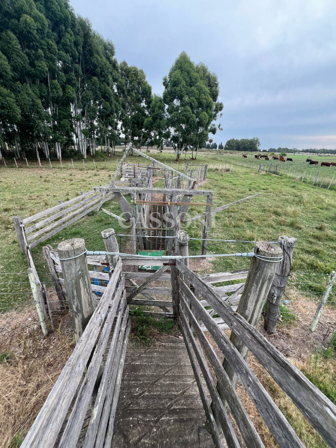 Chacra ID.2836 - SE VENDE CAMPO EN CANELONES.