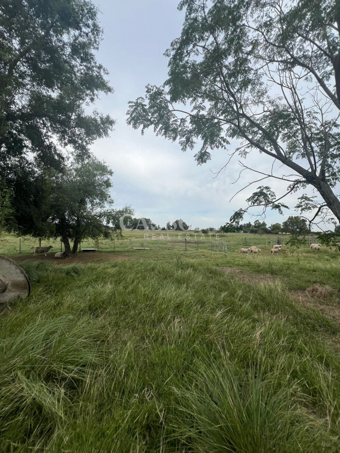 Chacra ID.2836 - SE VENDE CAMPO EN CANELONES.