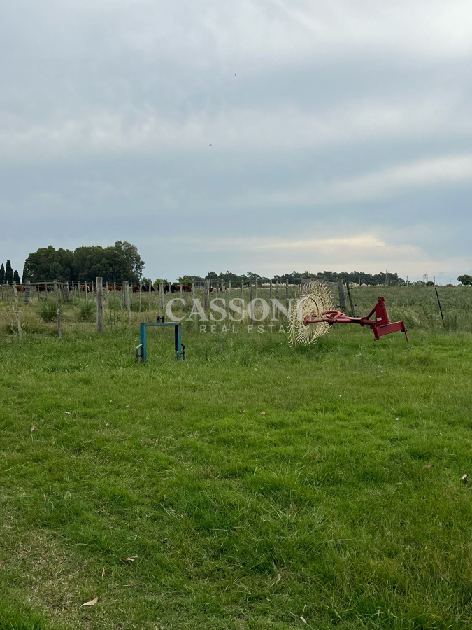 Chacra ID.2836 - SE VENDE CAMPO EN CANELONES.