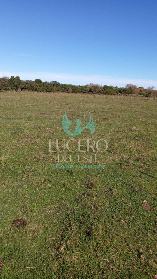 Chacra ID.1612 - Venta Chacra 