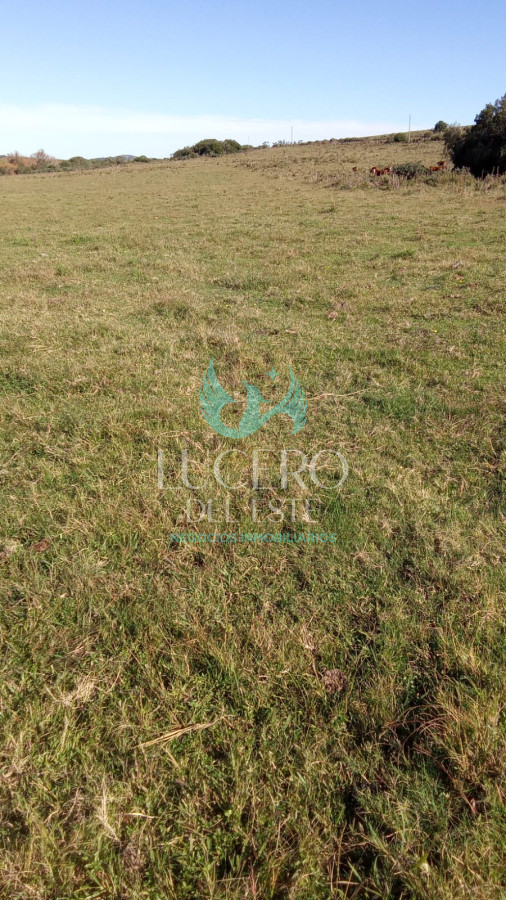 Chacra ID.1612 - Venta Chacra 