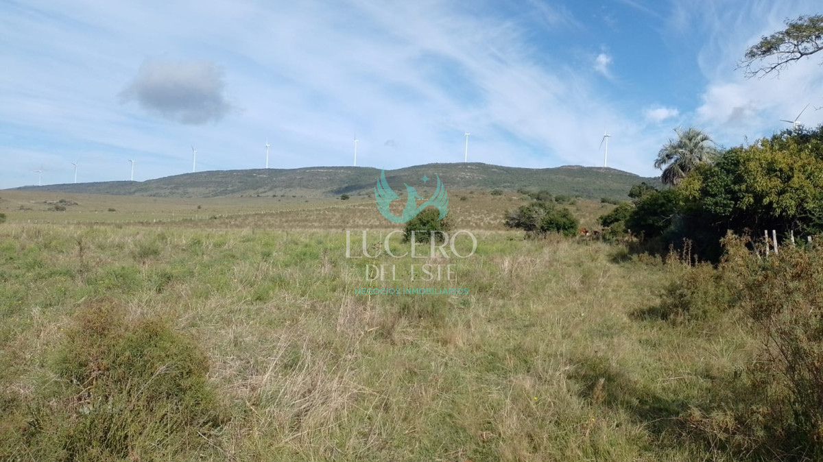 Campo Ref.1611 - Venta de Chacras de 5 y 6 Ha en Caracoles