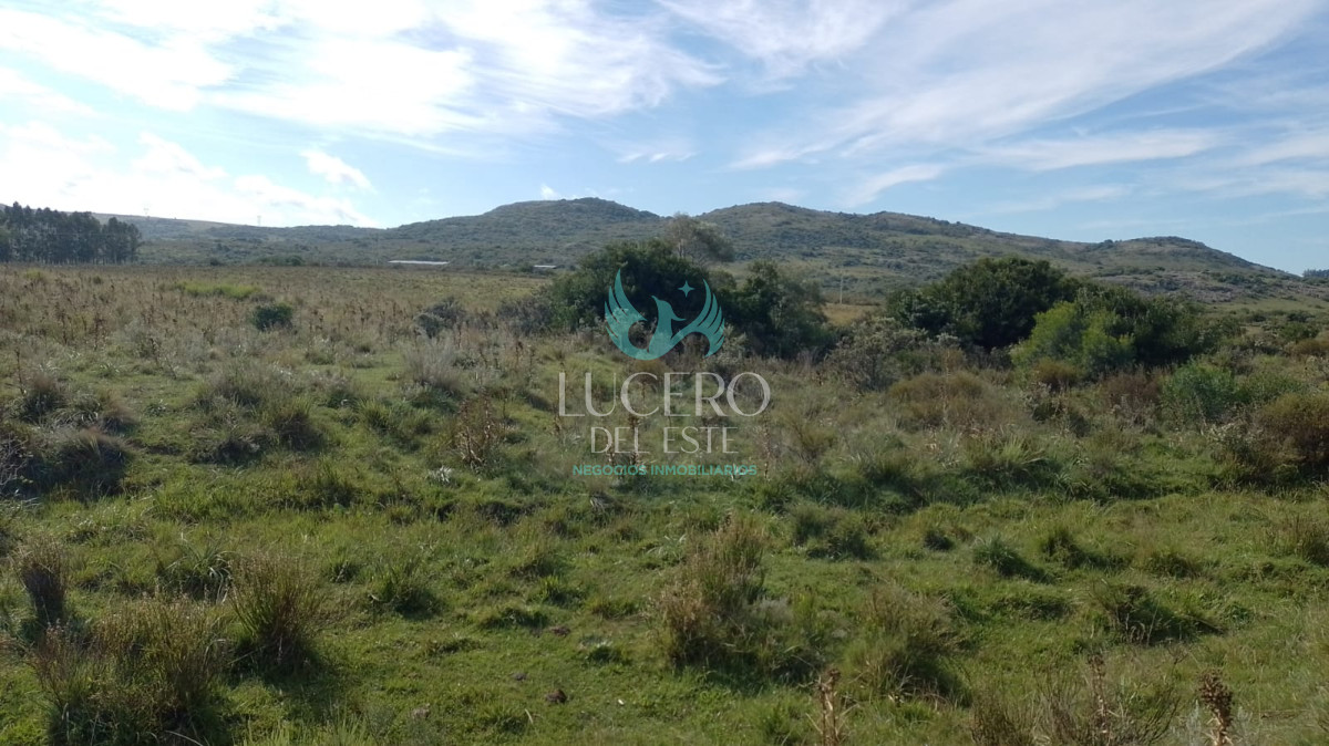 Campo Ref.1611 - Venta de Chacras de 5 y 6 Ha en Caracoles