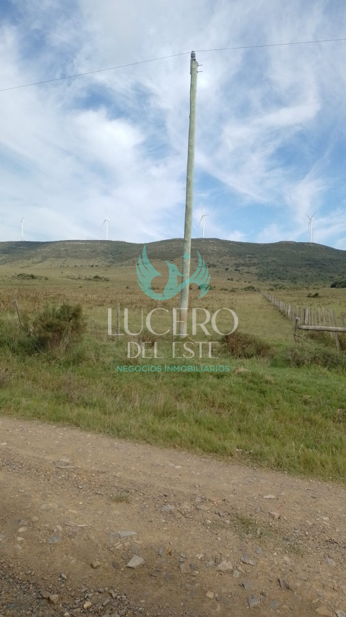 Campo Ref.1611 - Venta de Chacras de 5 y 6 Ha en Caracoles