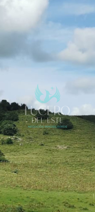 Campo Ref.1609 - Venta de campo de 26 Has en la Coronilla