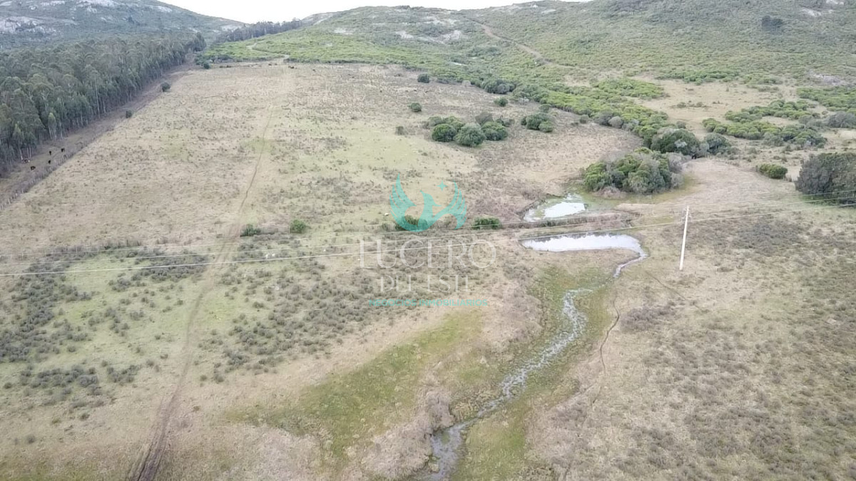 Campo Ref.1610 - Venta de Campo de 25 Ha en 