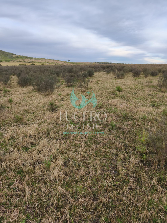 Campo Ref.1610 - Venta de Campo de 25 Ha en 
