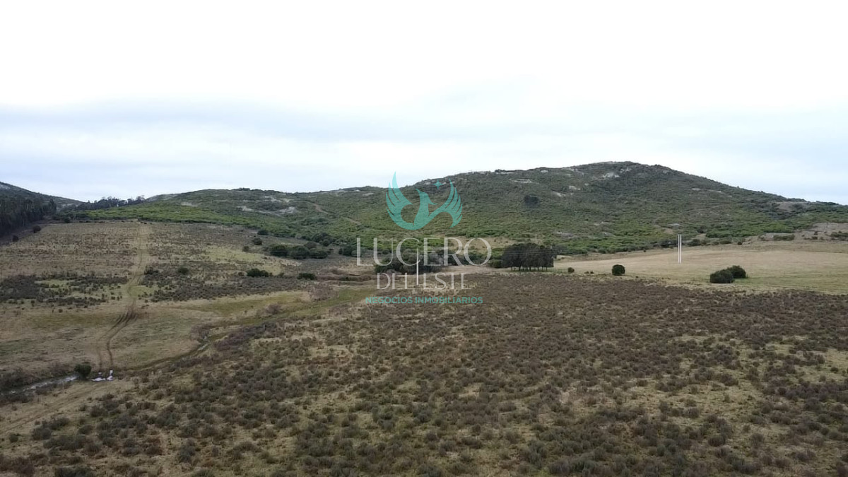 Campo Ref.1610 - Venta de Campo de 25 Ha en 
