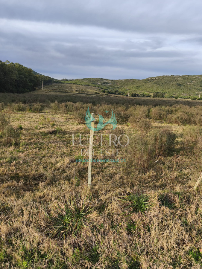 Campo Ref.1610 - Venta de Campo de 25 Ha en 