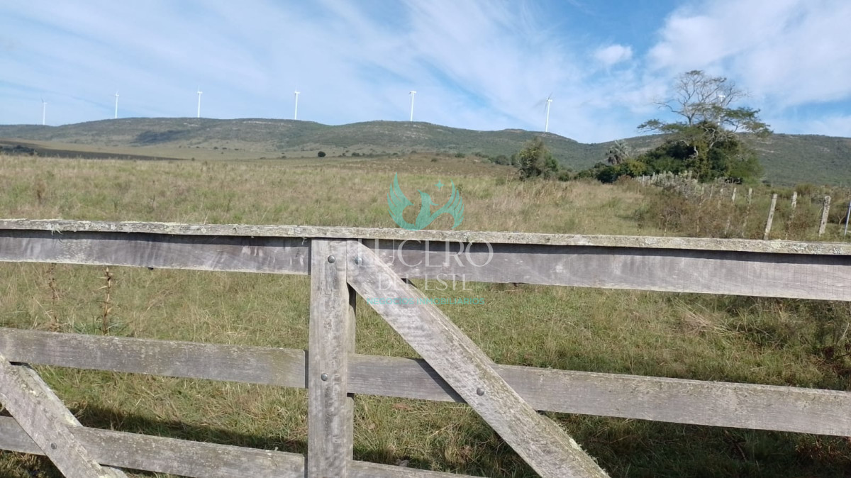 Campo Ref.1611 - Venta de Chacras de 5 y 6 Ha en Caracoles