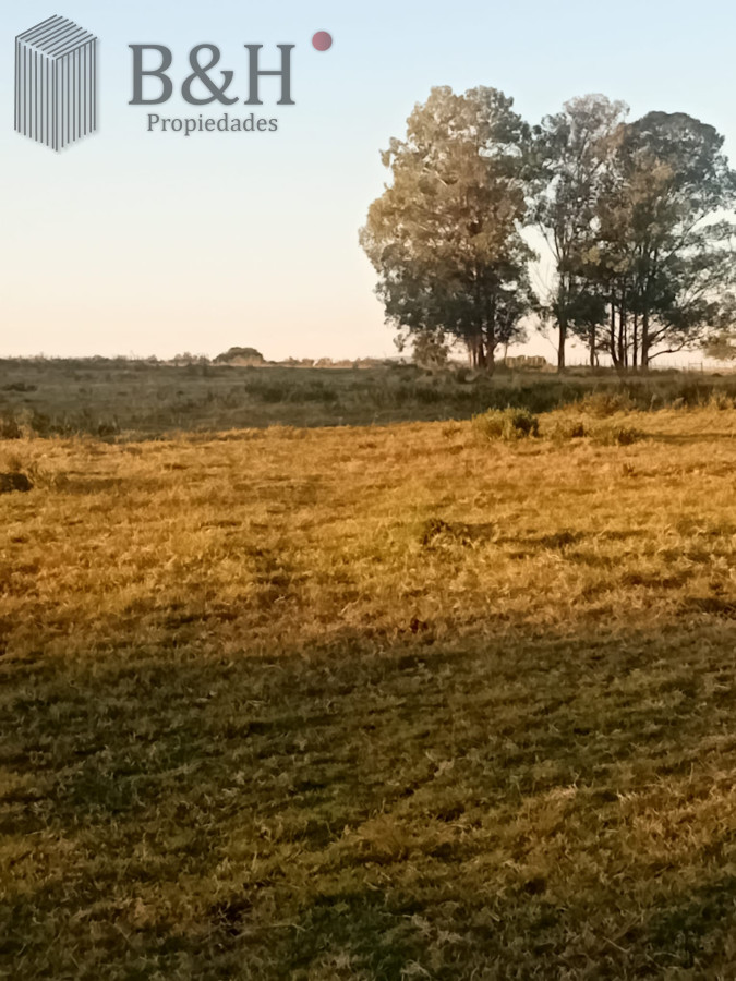 San Carlos - GoPunta - Portal Inmobiliario de Punta del Este - Maldonado