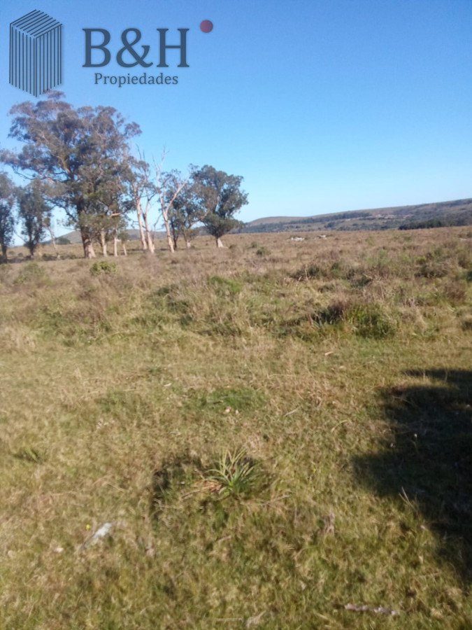 Venta de Chacra en Maldonado de 5 Ha - GoPunta - Portal Inmobiliario de Punta del Este - Maldonado