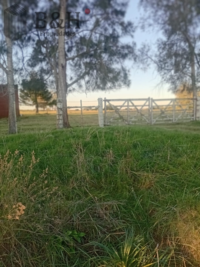 San Carlos - GoPunta - Portal Inmobiliario de Punta del Este - Maldonado